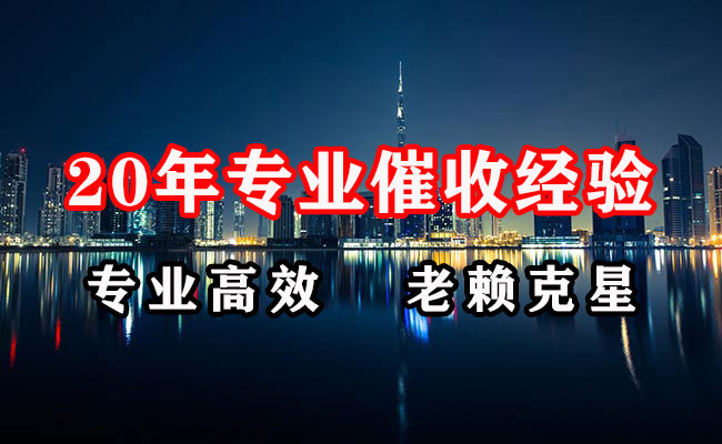 泸溪追账公司